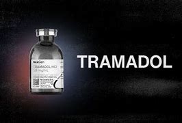 Tramadol 338 Slot Link Alternatif